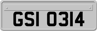 GSI0314