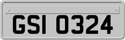 GSI0324