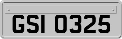 GSI0325