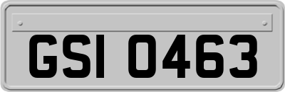 GSI0463