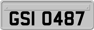 GSI0487