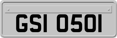 GSI0501