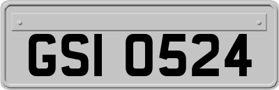 GSI0524