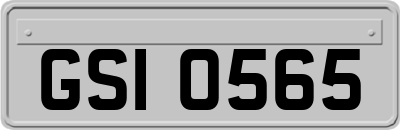 GSI0565