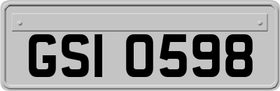 GSI0598