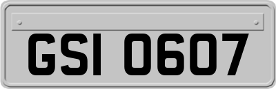GSI0607
