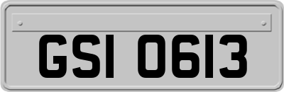 GSI0613