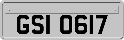 GSI0617