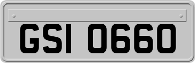 GSI0660