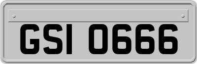 GSI0666