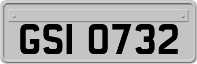 GSI0732