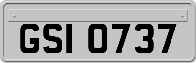 GSI0737