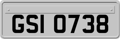 GSI0738