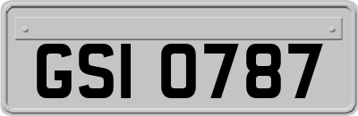 GSI0787