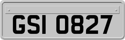 GSI0827