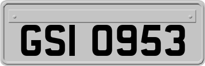 GSI0953
