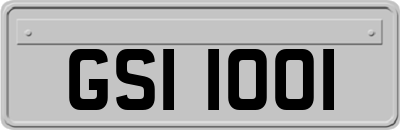 GSI1001