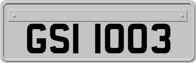 GSI1003