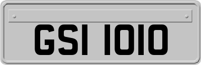 GSI1010
