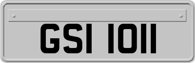 GSI1011
