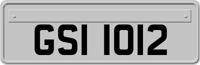 GSI1012