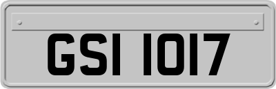 GSI1017