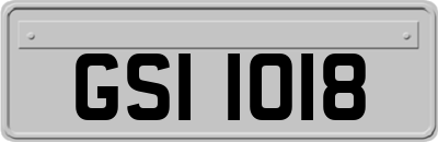 GSI1018