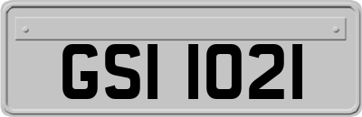 GSI1021