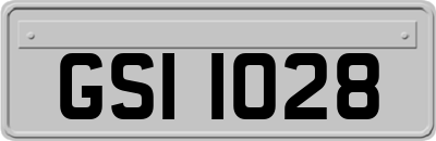 GSI1028