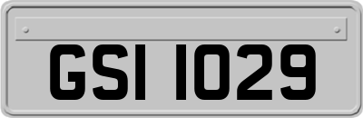 GSI1029