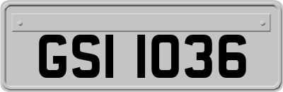 GSI1036