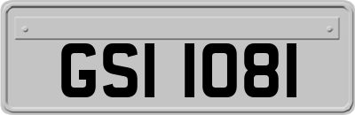 GSI1081