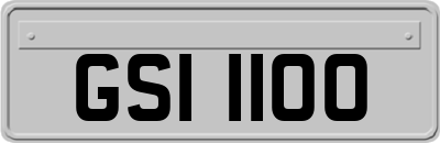 GSI1100