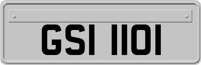 GSI1101