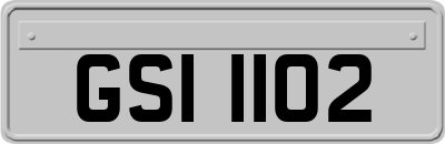 GSI1102
