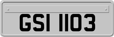 GSI1103