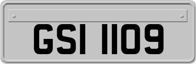 GSI1109