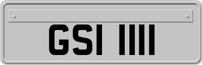 GSI1111
