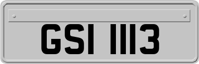GSI1113