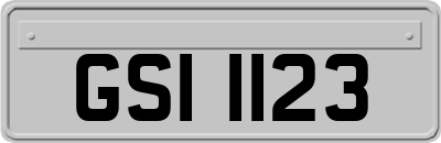 GSI1123