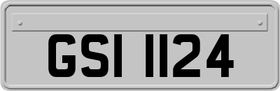 GSI1124