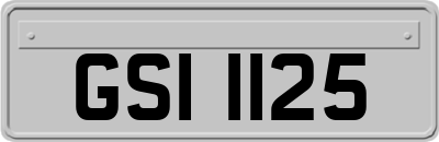GSI1125