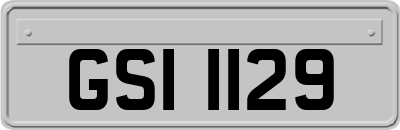 GSI1129