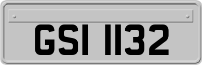 GSI1132