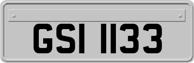 GSI1133