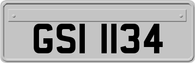 GSI1134