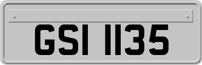 GSI1135