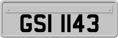 GSI1143