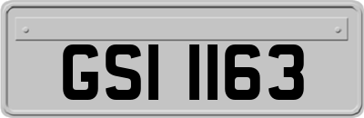GSI1163