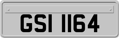 GSI1164